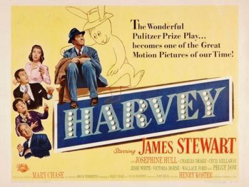 Chú Thỏ Harvey Harvey