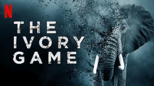 Cuộc chiến ngà voi The Ivory Game