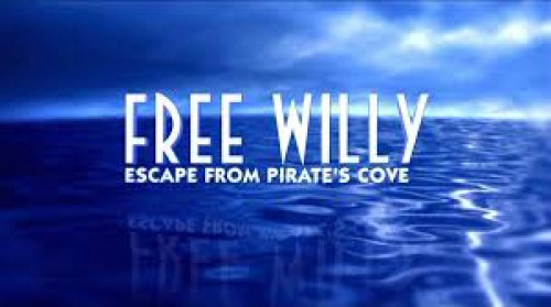 Giải Cứu Willy: Thoát Khỏi Vịnh Hải Tặc Free Willy: Escape from Pirate's Cove