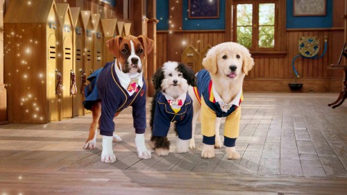 Học viện cún con (Phần 1) Pup Academy (Season 1)