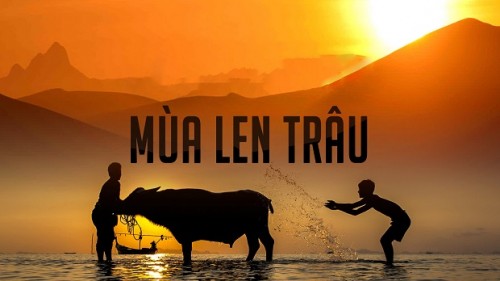 Mùa Len Trâu - Mua Len Trau