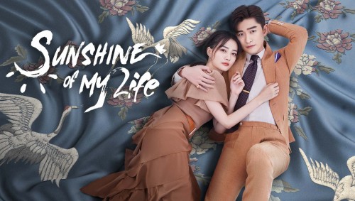 Nếu Em Bình An Đó Mới Là Ngày Đẹp Trời Sunshine of My Life 