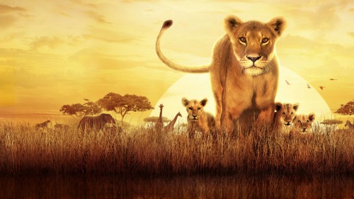 Serengeti Serengeti