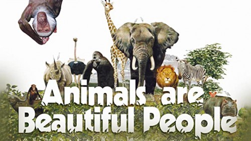 Thế Giới Loài Vật Sống Động Animals Are Beautiful People
