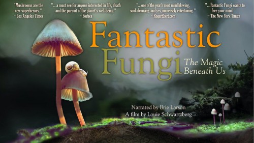 Thế giới nấm diệu kỳ Fantastic Fungi