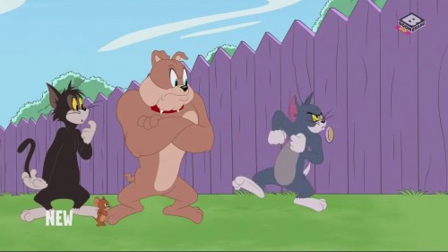 The Tom and Jerry Show (Phần 3) The Tom and Jerry Show (Season 3)