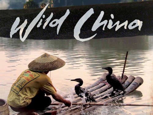 Thiên Nhiên Hoang Dã Trung Quốc Wild China