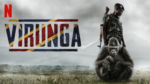 Virunga Virunga
