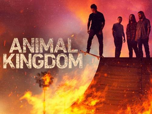 Vương quốc động vật (Phần 6) Animal Kingdom (Season 6)
